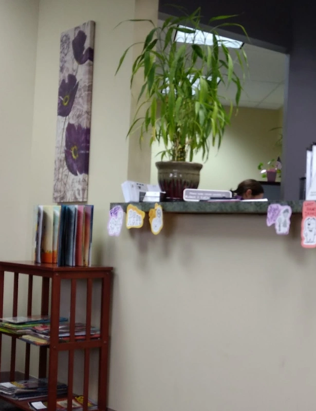 Dental office interior with shelving, potted plant, decorative wall art, and medical supplies on display.